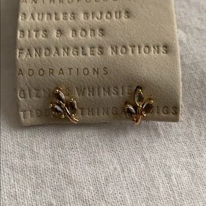 Botanical Post Earrings